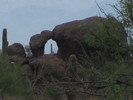 photo thumbnail #10