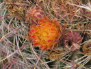 photo thumbnail #11