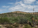 photo thumbnail #13
