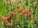 photo thumbnail #13