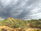photo thumbnail #8