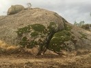 photo thumbnail #6
