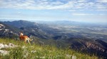 photo thumbnail #4