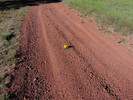 photo thumbnail #1