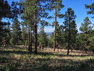 photo thumbnail #4