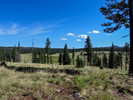 photo thumbnail #8