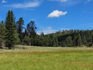 photo thumbnail #11