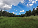 photo thumbnail #12