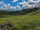 photo thumbnail #5