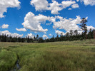 photo thumbnail #7