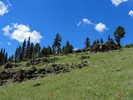 photo thumbnail #10