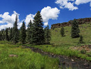 photo thumbnail #13