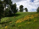photo thumbnail #13