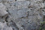 photo thumbnail #7