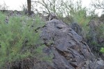 photo thumbnail #14