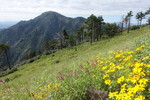 photo thumbnail #2