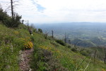 photo thumbnail #3