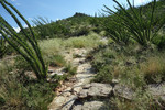 photo thumbnail #4