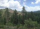 photo thumbnail #4