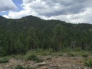 photo thumbnail #8