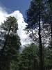 photo thumbnail #14