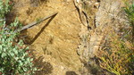 photo thumbnail #15