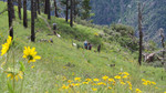 photo thumbnail #7