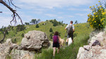 photo thumbnail #8