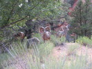 photo thumbnail #6