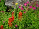 photo thumbnail #9
