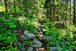 photo thumbnail #11