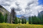 photo thumbnail #15