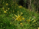 photo thumbnail #4
