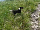 photo thumbnail #11