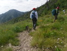 photo thumbnail #12