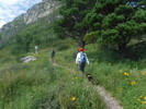 photo thumbnail #14