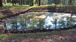 photo thumbnail #10
