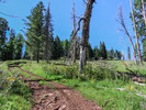 photo thumbnail #7