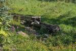 photo thumbnail #3