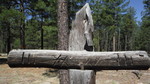 photo thumbnail #1