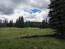 photo thumbnail #5