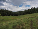 photo thumbnail #6