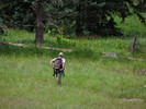 photo thumbnail #8
