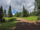 photo thumbnail #10