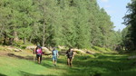 photo thumbnail #4