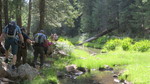photo thumbnail #8