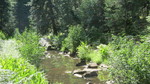 photo thumbnail #15