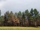 photo thumbnail #5