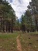 photo thumbnail #10