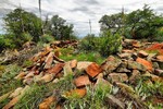 photo thumbnail #14